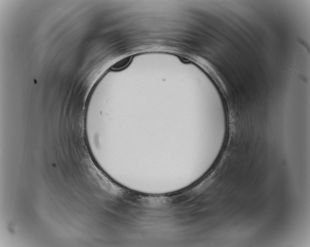 X0000102371244200808221732