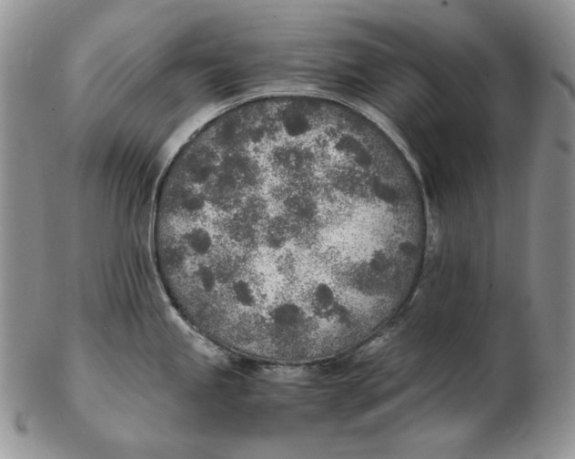 X0000102371245200808221732