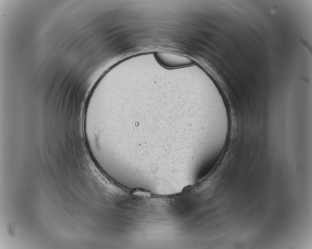 X0000102371246200808221732