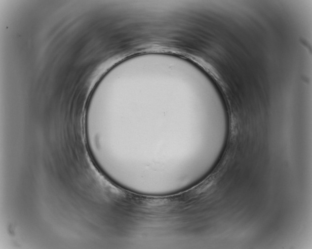 X0000102371247200808221732