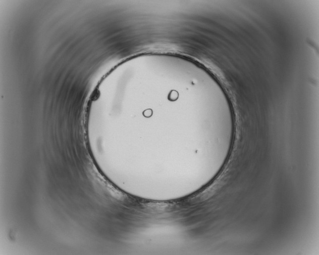 X0000102371248200808221732