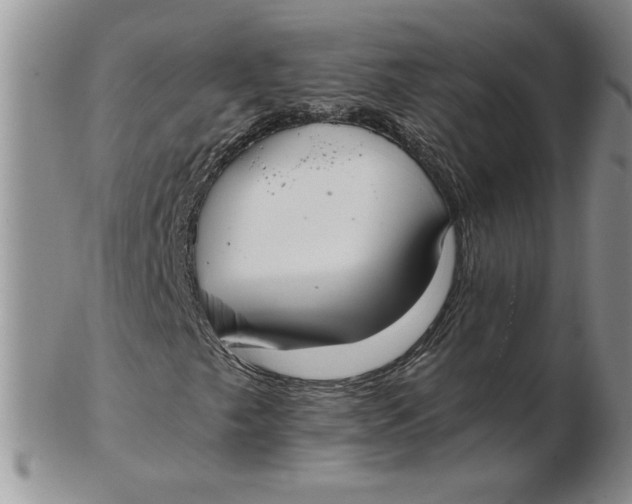 X0000102371249200808221731