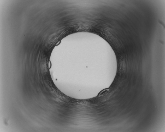 X0000102371250200808221731