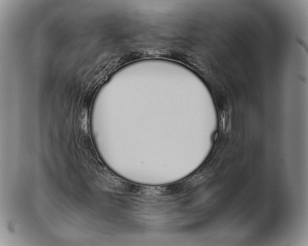 X0000102371251200808221731