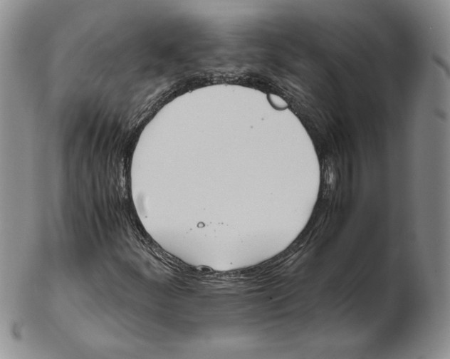 X0000102371252200808221731