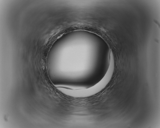 X0000102371253200808221731