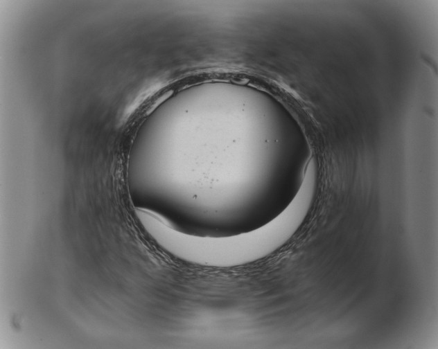 X0000102371255200808221731