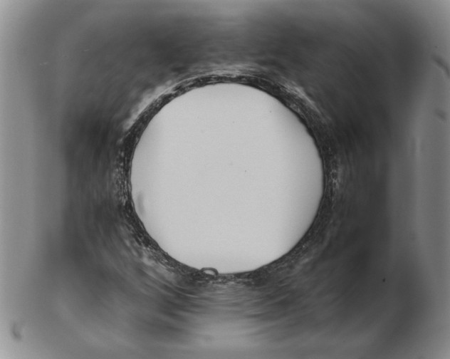 X0000102371256200808221731