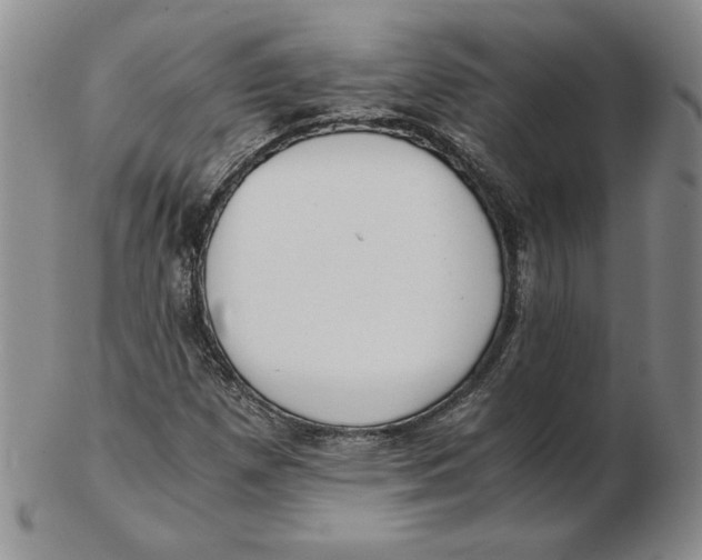 X0000102371257200808221731