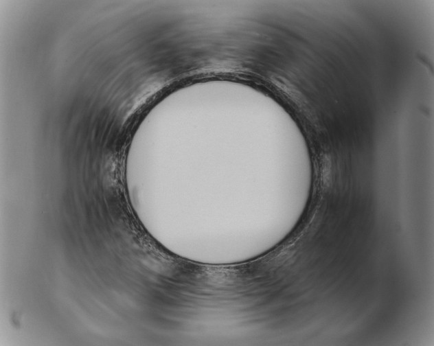 X0000102371258200808221731