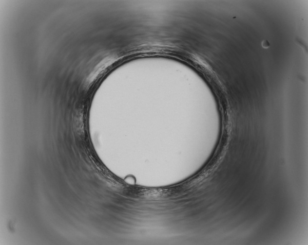 X0000102371259200808221731