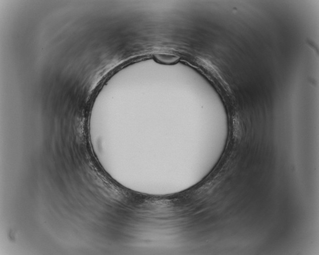 X0000102371260200808221731