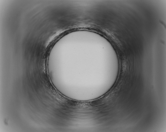 X0000102371262200808221731