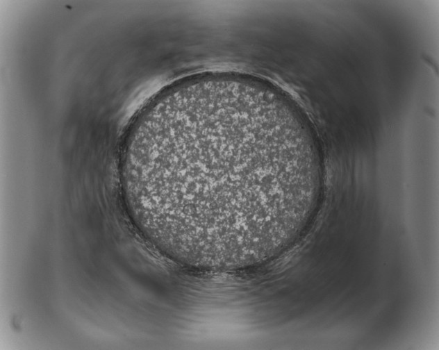 X0000102371263200808221731