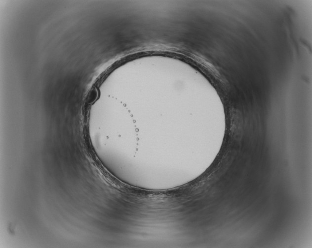 X0000102371264200808221731