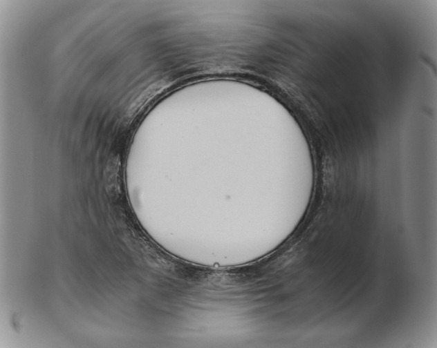 X0000102371265200808221731