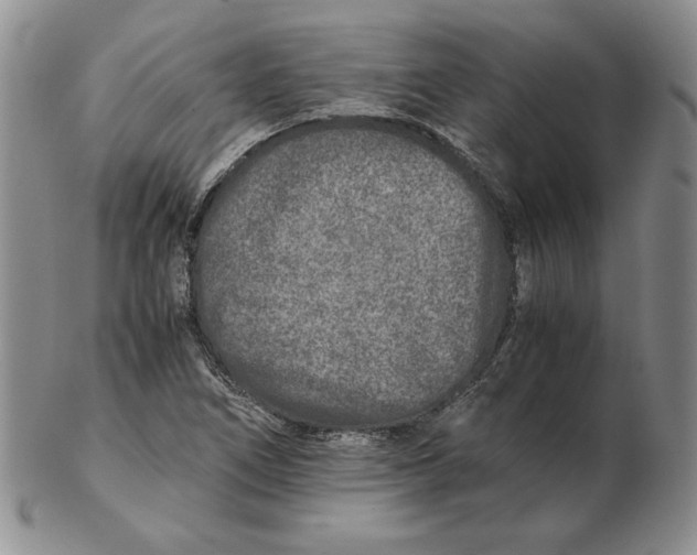 X0000102371266200808221731