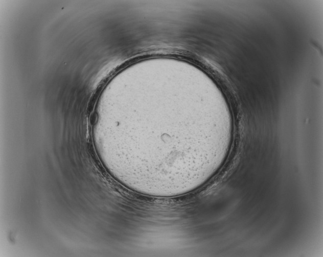 X0000102371267200808221731