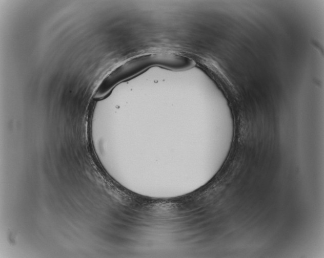 X0000102371268200808221731