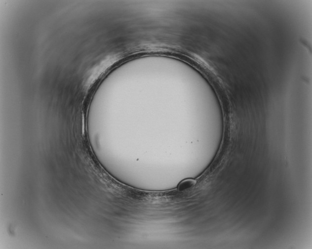 X0000102371269200808221730