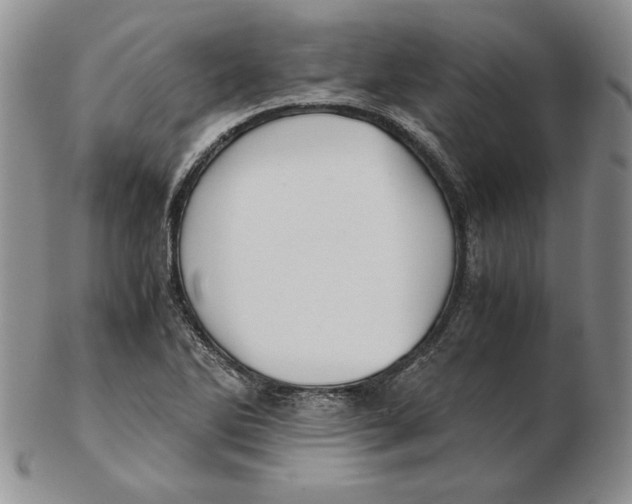 X0000102371270200808221730