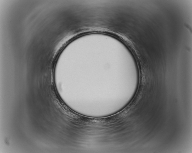 X0000102371271200808221730