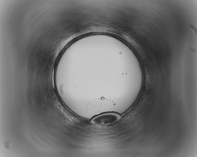 X0000102371272200808221730