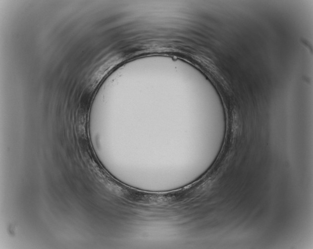 X0000102371273200808221730