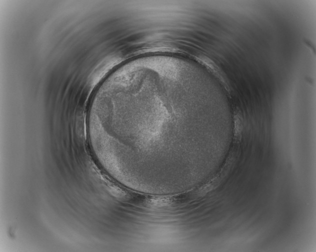 X0000102371274200808221730