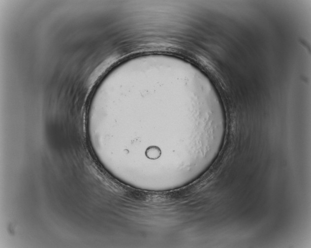 X0000102371275200808221730