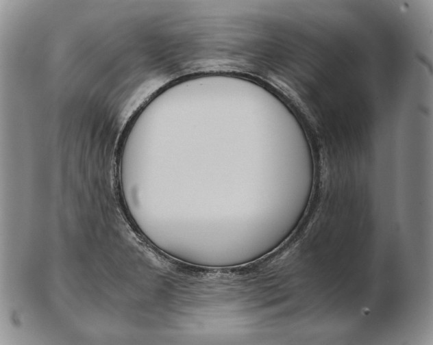 X0000102371277200808221730