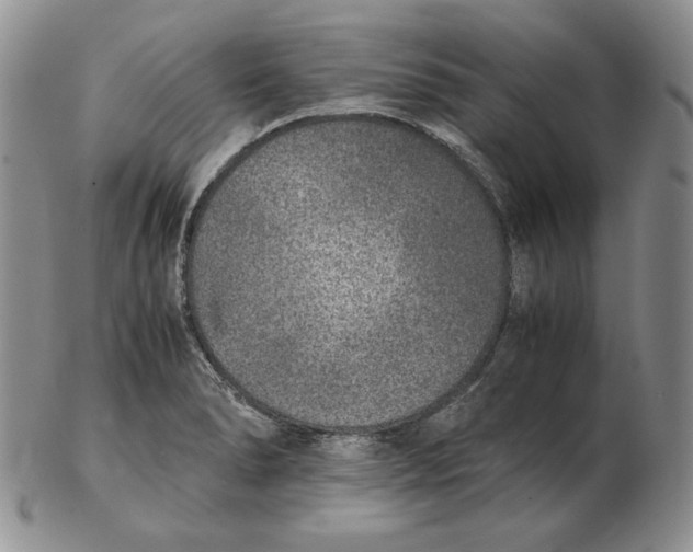 X0000102371278200808221730