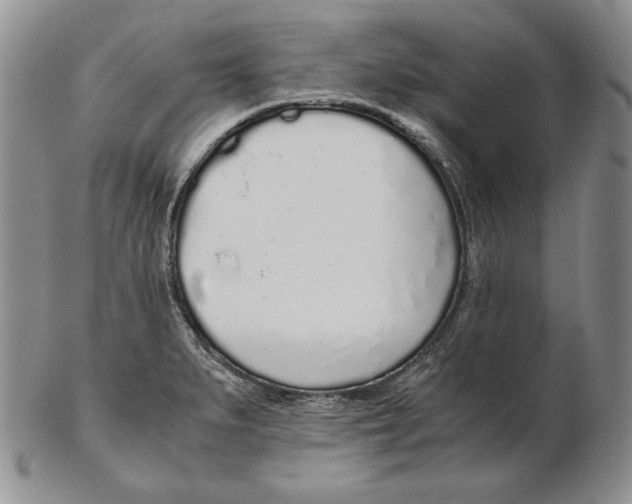 X0000102371279200808221730