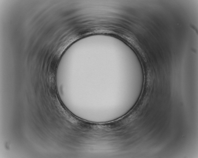 X0000102371281200808221730