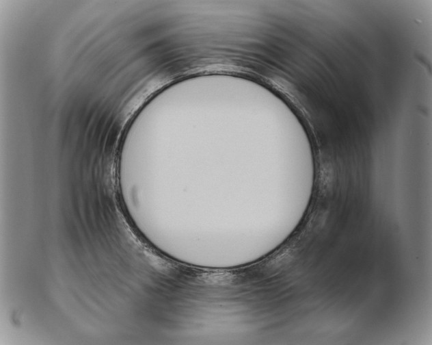 X0000102371282200808221730