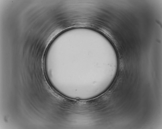 X0000102371283200808221730