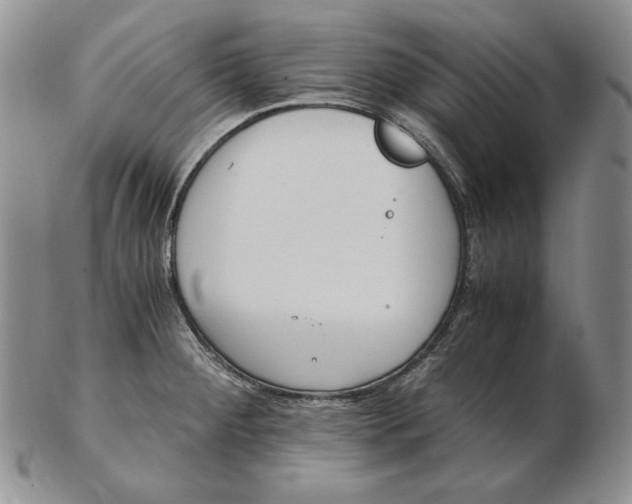 X0000102371284200808221730