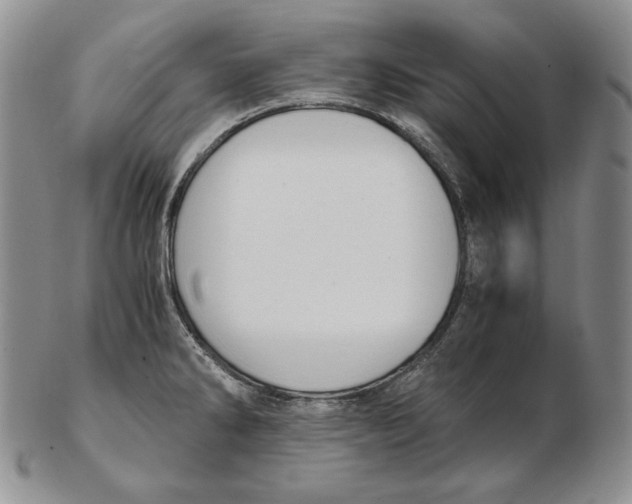 X0000102371286200808221730