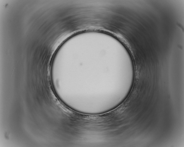 X0000102371287200808221730