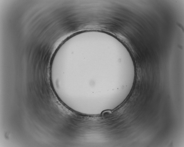 X0000102371288200808221730