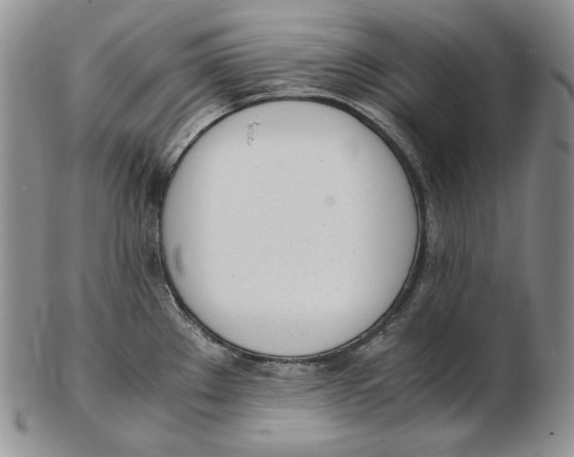 X0000102371289200808221730