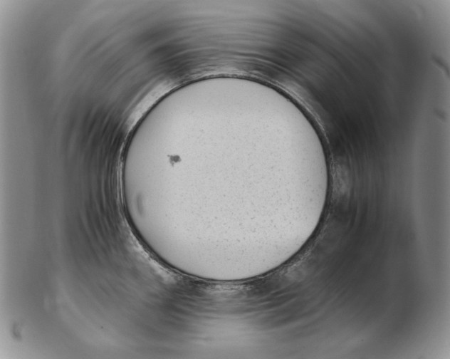 X0000102371290200808221730