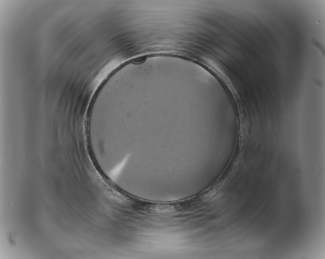 X0000102371291200808221730