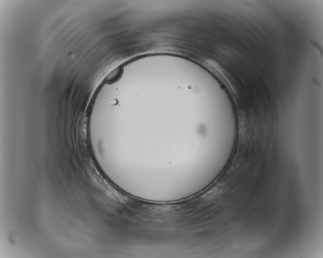 X0000102371292200808221730