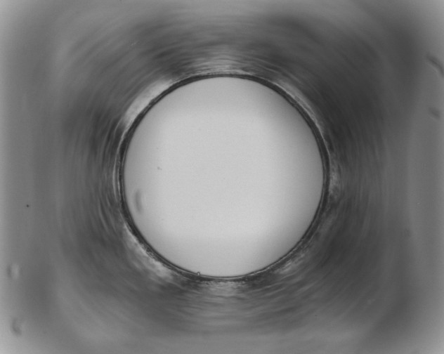 X0000102371293200808221730