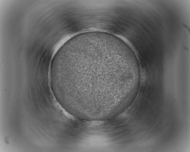 X0000102371294200808221730