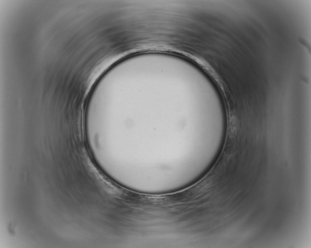 X0000102371295200808221730