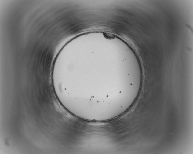 X0000102371296200808221730