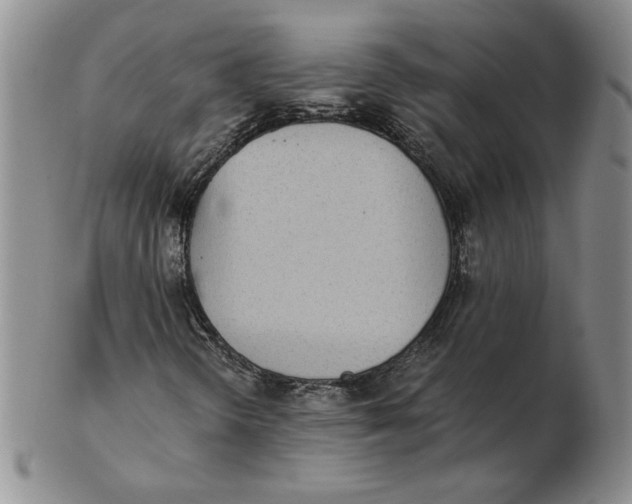 X0000102371298200808221729