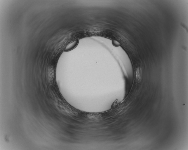 X0000102371299200808221729